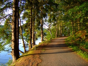 Wanderweg am Rehbach